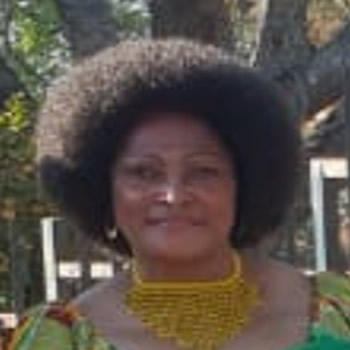 V.J. Dlamini